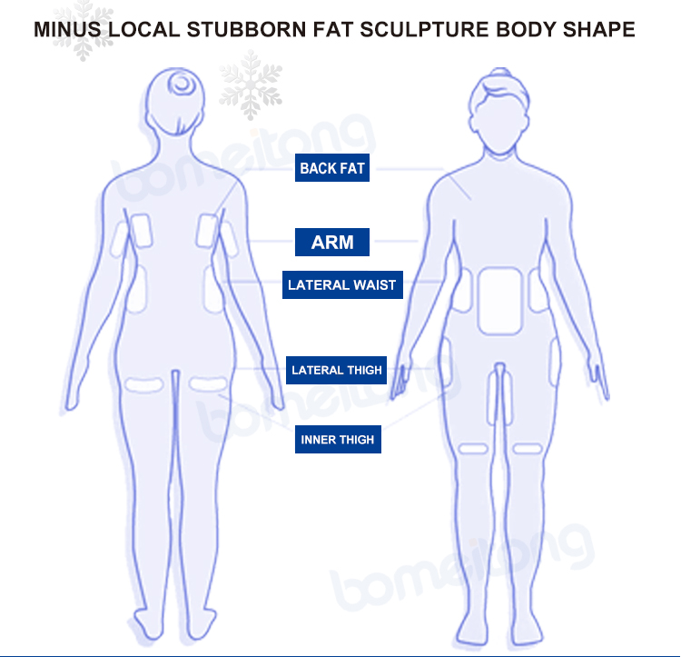 Cryolipolysis slim machine fat freeze double chin removal 360 cryo for sale Cryolipolysis slim machine fat freeze double chin removal 360 cryo for sale