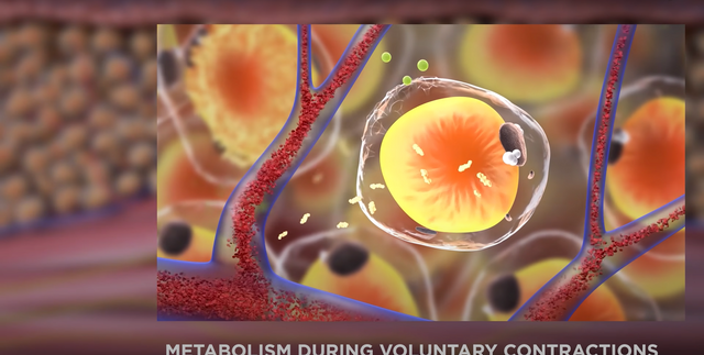 How the product works