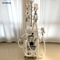 Cryolipolysis And Cavitation Treatment Amazon Price
