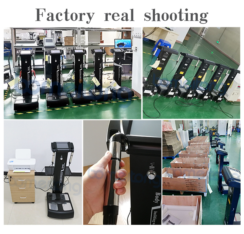 Body composition analysis machine bio impedance fat weight test 25 outputs