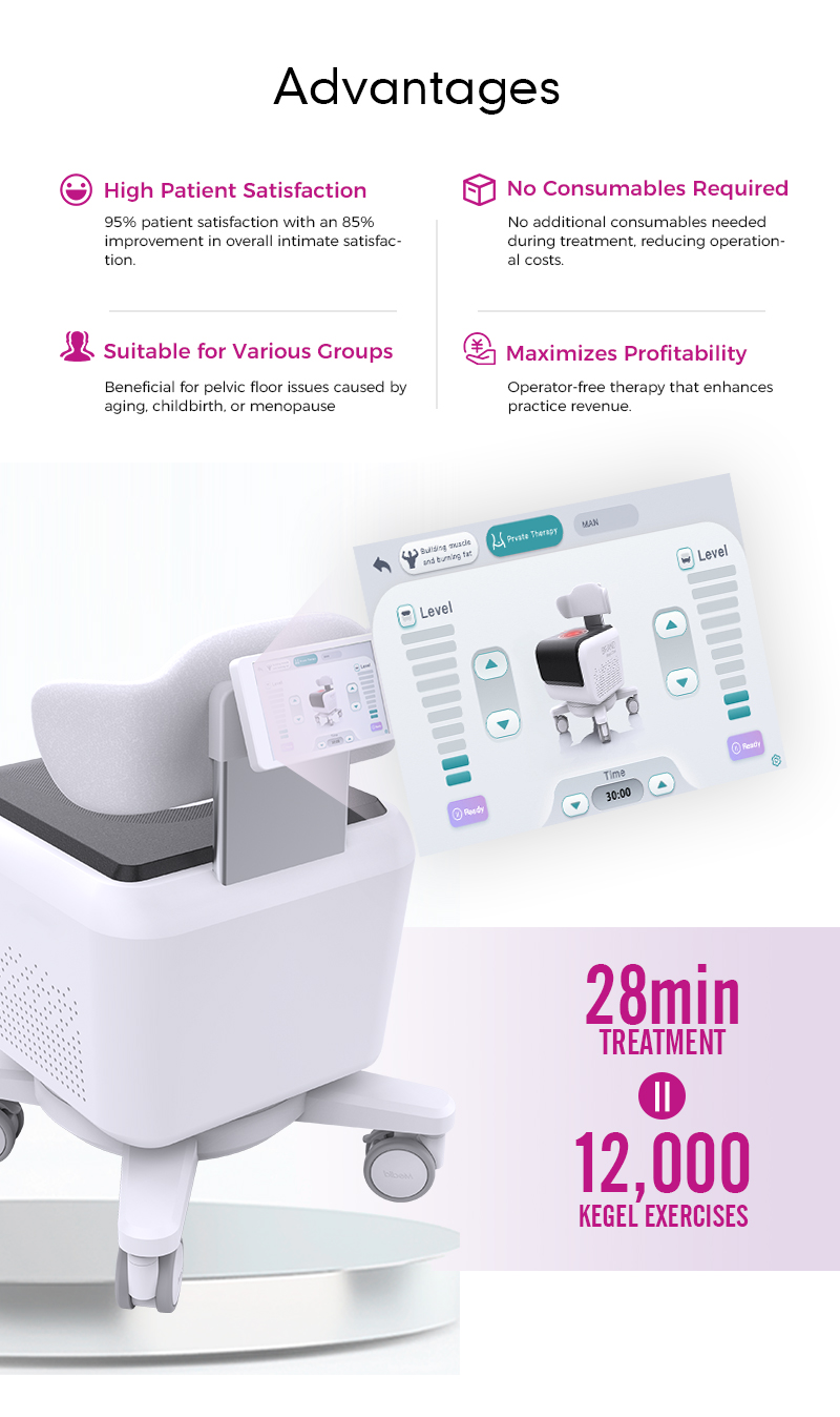 Professional EMS Chair Tesla Private Chair Pelvic Floor Muscle Chair