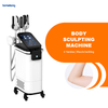 Sculpture Fat Burning Machine Price for Body Abs S Shape Rf Renasculpt