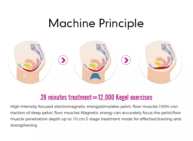 26ECE0B1-5F15-46e4-B40E-CA1F4AF93F83