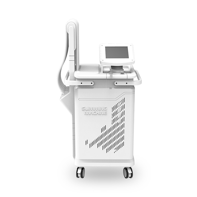 Professional 1060nm Diode Laser Body Slimming Machine