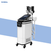 Sculpture Fat Burning Machine Price for Body Abs S Shape Rf Renasculpt