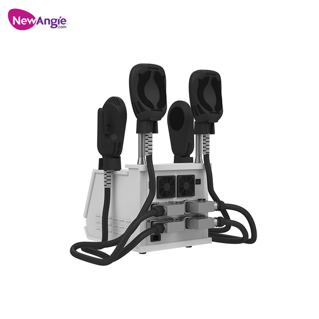 2 In 1 EMS RF Muscle Building Fat Reduction Machine Breakthrough Technology