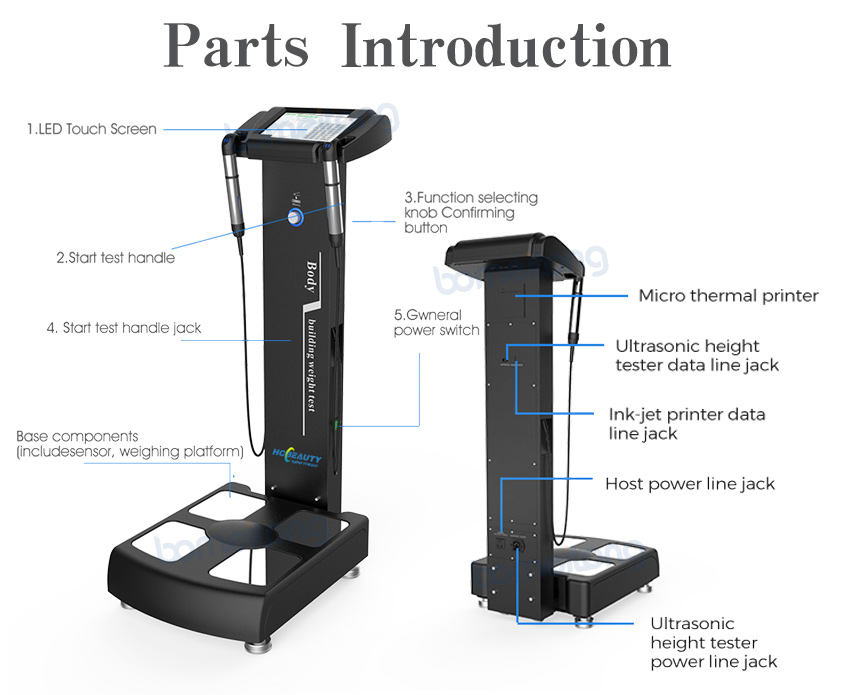 Body composition analysis machine bio impedance fat weight test 25 outputs