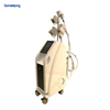 The Best Professional Cryolipolysis Fat Freeze Slimming Machine for Salon Spa