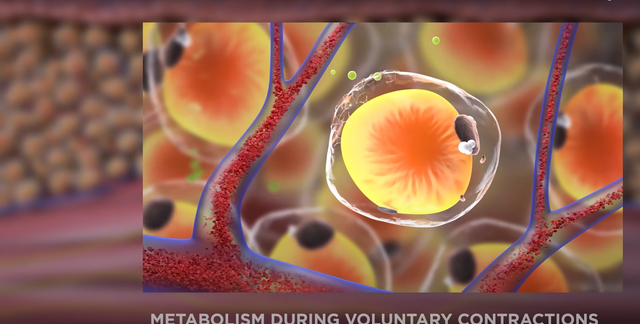 How the product works